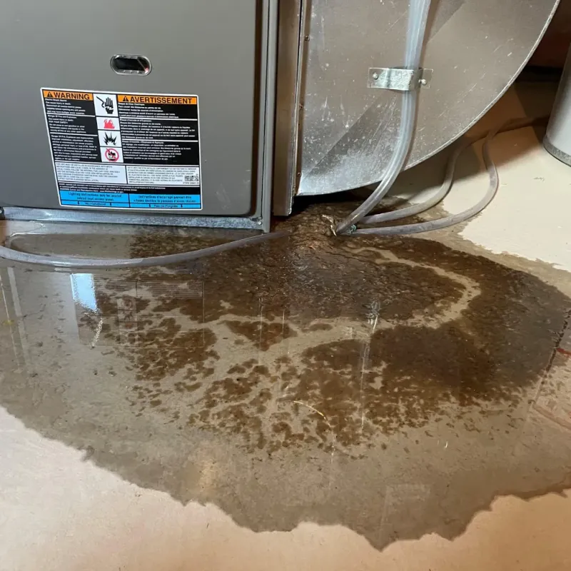 Appliance Leak Cleanup in Mebane, NC